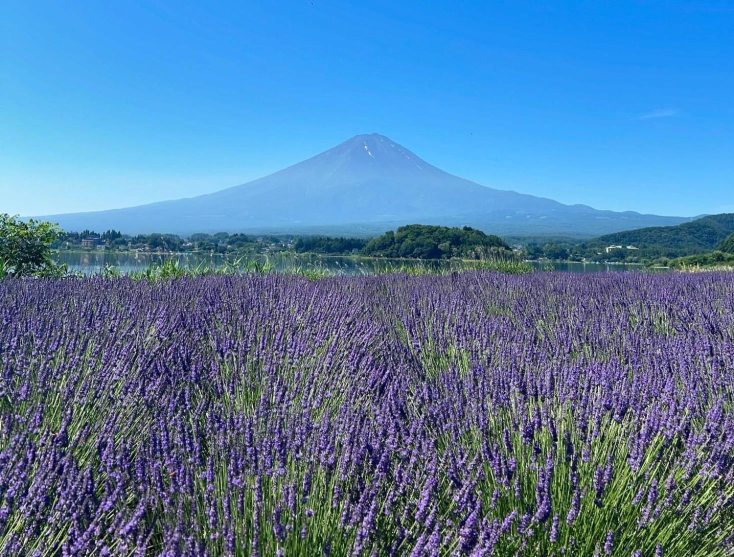 Holiday Home Furinkazan 風林火山 Фудзикавагутико Экстерьер фото